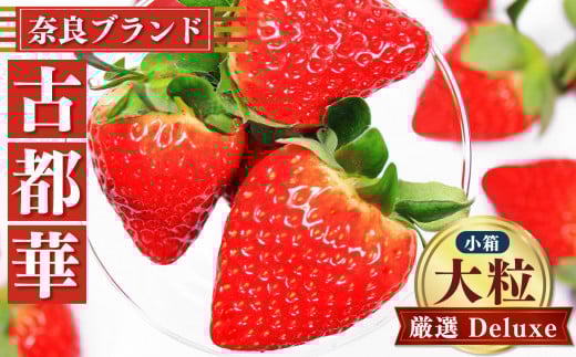 奈良 の いちご 「 古都華 〜 ことか 〜」 大粒 厳選 Deluxe( 小箱 ) ※ 12月 下旬頃〜 3月 下旬頃 順次発送 予定 ※北海道・沖縄・離島対応不可 | フルーツ くだもの 果物 イチゴ コトカ 古都