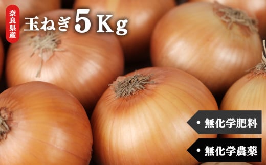 甘味たっぷり 生命の農法( 無化学農薬 ・ 無化学肥料栽培 ) 玉ねぎ 5kg |ヤサイ 野菜 やさい 玉葱 玉ねぎ たまねぎ 奈良県 五條市 5キロ タマネギ  カレー シチュー バーベキュー 料理 保存