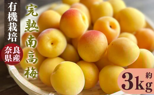有機栽培 完熟南高梅 3kg | 果実 かじつ カジツ 梅 うめ ウメ 南高梅 奈良県 五條市 奈良県五條市22000果物・フルーツその他 果物・フルーツ