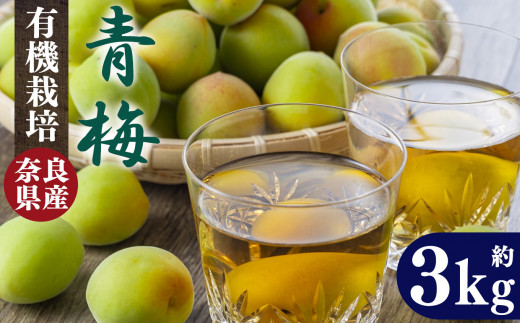 有機栽培 青梅 3kg(ジュース・梅酒・酵素用)| 果実 かじつ カジツ 梅 うめ ウメ 酒 奈良県 五條市 <※6月上旬〜6月中旬頃順次発送予定>奈良県五條市22000果物・フルーツその他 果物・フル