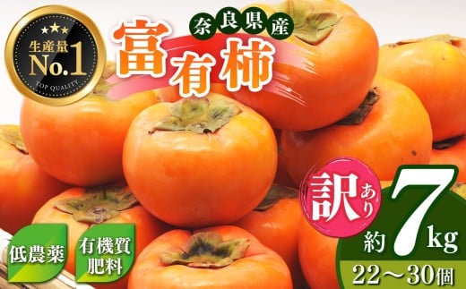 ★ 4.8 獲得 訳あり 富有柿 約 7kg ご自宅用 ( 約22個 〜 30個 入り)| 人気 フルーツ 果物 くだもの 柿 かき カキ ふゆう 秋の味覚 自宅用 家庭用 特産品 たっぷり  大人気 人気 富有 柿 かき フ