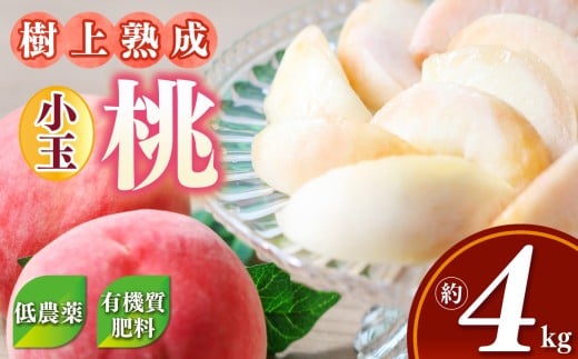 桃 ( 小玉 )約 4kg 箱 ( 13 〜 15個 )| フルーツ 果物 くだもの もも モモ ピーチ 奈良県 五條市 果実 果汁 熟成 おいしい 甘い こだわり 大容量 たっぷり どっさり  農家直送 産地直送 お取り