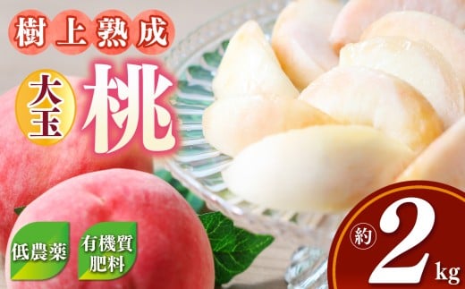 桃 ( 大玉 )約 2kg 箱 ( 6個 )|フルーツ 果物 くだもの もも モモ ピーチ 奈良県 五條市 果実 果汁 熟成 おいしい 甘い こだわり 大容量 大きい  農家直送 産地直送 お取り寄せ グルメ 冷蔵