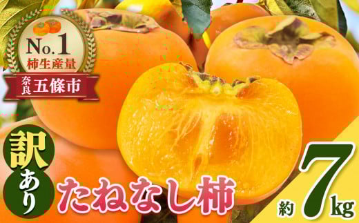 ˂Ȃ ` 킯 I  7kg | t[c  ʕ `  JL   󂠂 A 󂠂 ƒp p p e ǂ Ղ Â Ȃ r^~ H@ Lx