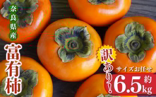訳あり 富有柿 サイズバラバラ 約 6.5kg   | フルーツ 果物 くだもの 柿 カキ かき 奈良県 五條市 ※ 2025年 11月 中旬頃から 順次発送 デザート 人気 国産 産地直送 果実  秋 旬 味覚 グルメ お取