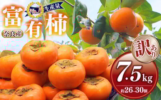 mSunt@[n󂠂 xL` pi7.5kgj | t[c  ʕ `  JL xL` ޗǌ ܞs 󂠂 {̊`̂܂ H̖o p ƒp Yi ʕޗǌܞ