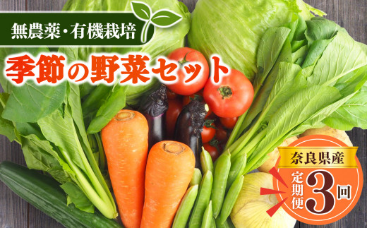 【 定期便 3回 】生命の農法( 無化学農薬 ・ 無化学肥料栽培 ) 季節 の 野菜 セット | 有機 農法 ヤサイ 野菜 やさい 詰め合わせ 無 化学 農薬 奈良県 五條市 バーベキュー 料理 保存 スープ