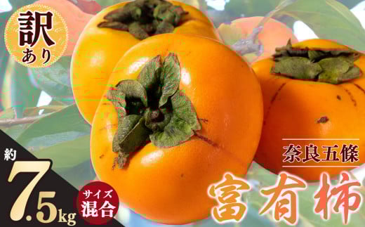 訳あり 富有柿 約 5kg ~約 7.5kg サイズおまかせ | フルーツ くだもの 果物 柿 かき カキ 奈良県 五條市 柿の王様 わけあり 訳アリ フルーツ 果実 食感 こだわり 11月 秋 旬 味覚 グルメ お取り寄