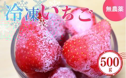 お手軽 小分け 冷凍いちご 約 500g  ( 100g x 5パック )   | フルーツ くだもの 果物 いちご イチゴ  冷凍 奈良県 五條 ふるーつ 冷凍 いちご れいとう イチゴ 果実 果汁 冷凍 冷凍食品 完熟 新鮮 ス