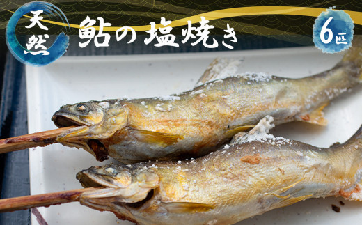 天然鮎 の 塩焼き 6匹  ( あかねや ) < 冷凍 > |川魚 魚 さかな サカナ 天然鮎 あゆ アユ 冷凍便 奈良県 五條市北山ネオフーズフィッシュ天然 焼き物和食ヘルシーたんぱく質 香り鮎 おどり