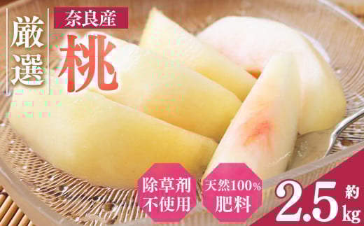 aʎ̓ 2.5kg | t[c ʕ    s[` Â Yn VN Ƃꂽ 炩 ʓ ʎ F  W[V[6{ 씒P 7{ P  7
