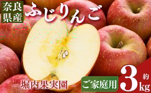 【堀内果実園】奈良県産のふじりんご 約3kg(ご家庭用) ? フルーツ くだもの 果物 りんご 林檎 リンゴ ふじりんご  奈良県 五條市奈良県五條市10000果物・フルーツりんご・梨