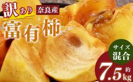 【 訳あり 】 富有柿 サイズ おまかせ 約 7.5s  | フルーツ くだもの 果物 柿 かき カキ 奈良県 五條市 果実 11月 12月 発送 秋 旬 味覚 グルメ お取り寄せ  大容量 農家直送 産地直送 ビタミン