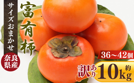 【 訳あり 】 富有柿 10kg 箱 サイズおまかせ( 36個 〜 42個 )| フルーツ くだもの 果物 柿 かき カキ 奈良県 五條市 果実 11月 12月 発送 秋 旬 味覚 グルメ お取り寄せ  大容量 農家直送 産地直