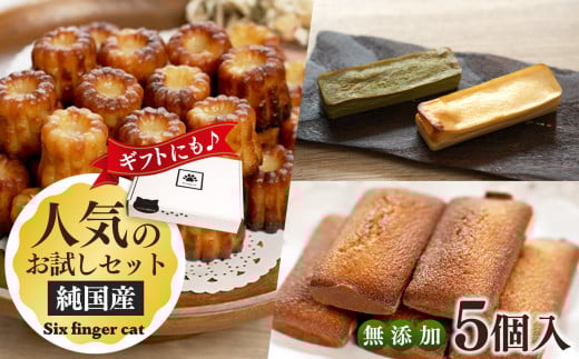 厳選素材 使用 人気 の お菓子 お試し セット ( チーズケーキ ・ カヌレ ・ フィナンシェ ) |  有限会社YOPP 3種類 贅沢 詰め合わせ  口どけ なめらか クリーミー 優しい甘さ 香ばしい もっち