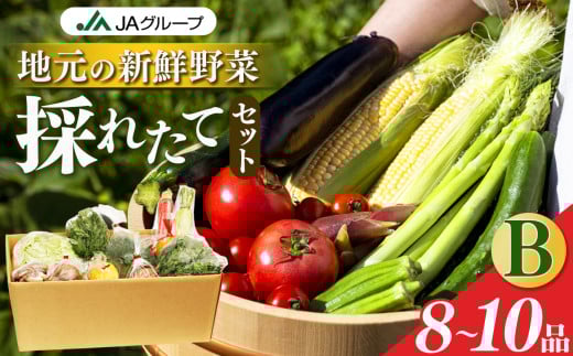 季節の野菜セットB | ヤサイ 野菜 やさい 詰め合わせ セット せっと 詰合せ 組み合わせ まとめ マトメ 奈良県 五條市 果物 新鮮 季節 お試し バーベキュー BBQ おすすめ 冬 春 夏 秋 国産 季節