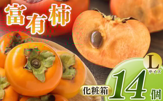 富有柿  L 14個セット 化粧箱 1段 | フルーツ くだもの 果物 柿 かき カキ 富有柿 フユウガキ ふゆうがき 奈良県 五條市 スイーツ おやつ お菓子 手土産 お土産  産地任せ 旬の柿 産地直送 国産