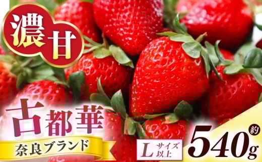 古都華 約540g (270g×2P)Lサイズ以上 | フルーツ くだもの 果物 いちご イチゴ ことか コトカ 古都華 オリジナル 糖度 酸味 希少 贈り物 ご褒美 奈良県 五條市奈良県五條市10000果物・フルーツ