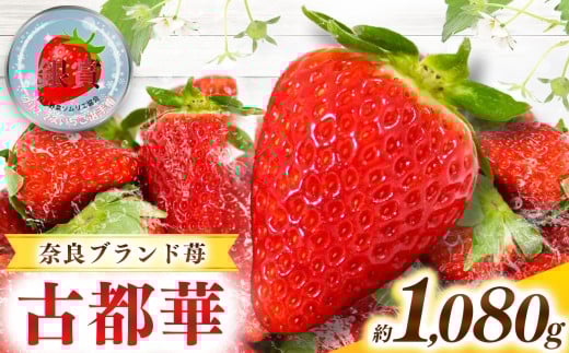 Âč ޗǌYuhu Ós i Ƃ jv 4pbN i 1080g j| t[c  ʕ  C`S Ƃ RgJ Ós x { 2 3 4 5  LIP`K