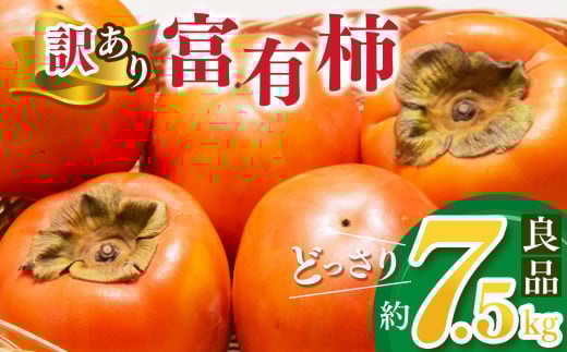 【家庭用】 どっさり わけあり 富有柿  約7.5kg | フルーツ くだもの 果物 柿 かき カキ 訳 あり わけあり 家庭用 自宅用 気軽 どっさり たっぷり 奈良県 五條市 訳あり ご自宅用 大容量 甘い 果