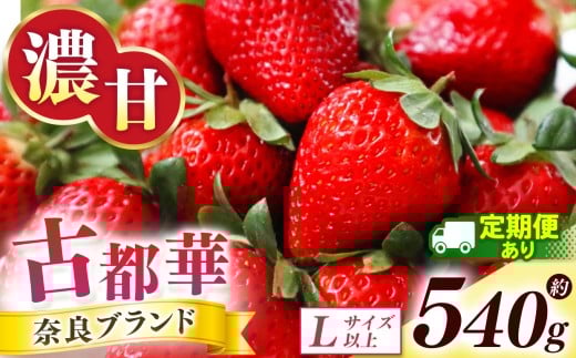 【 定期便 2回 】古都華 約540g (270g×2P)Lサイズ以上  | フルーツ くだもの 果物 いちご イチゴ ことか コトカ 古都華 苺 フレッシュ 果実 新鮮 ブランド苺 ストロベリー 冷蔵 希少 逸品  品種