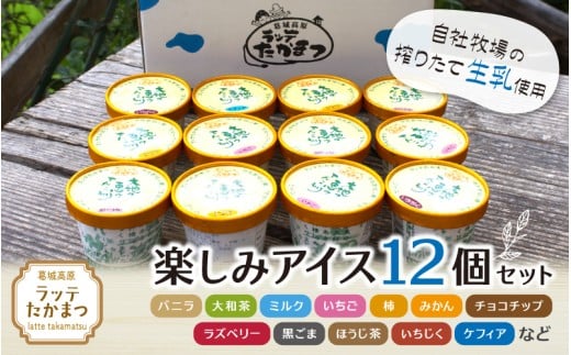 ラッテたかまつ 楽しみアイス12個セット / バニラ 大和茶 ミルク 苺 ブルーベリー 黒ごま【latt005】奈良県葛城市19000菓子・スイーツアイス・ジェラート