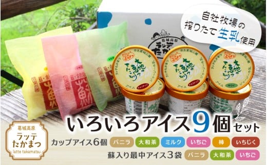 ラッテたかまつ いろいろアイス9個セット / チーズ入り 最中 モナカ いちご イチジク 柿【latt006】奈良県葛城市18000菓子・スイーツアイス・ジェラート