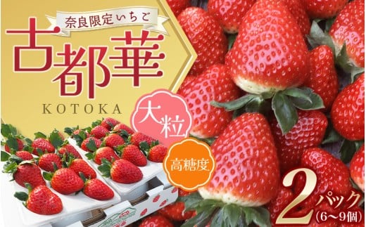 (冷蔵)大粒 古都華 イチゴ 2パック / 寺田農園 希少 プレミアム 高糖度 酸味 バランスの良い 苺 奈良県 葛城市【trdf001】奈良県葛城市16000果物・フルーツいちご