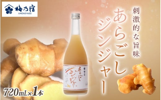 梅乃宿 あらごしジンジャー 720ml / ジンジャー リキュール スパイシー 国産 すりおろし しょうが 爽やかな 香り 奈良県 葛城市【umyd016】奈良県葛城市9000酒・アルコールウイスキー・