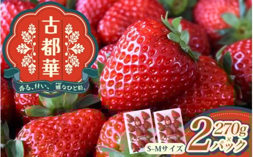 古都華 S〜Mサイズ 270g×2パック / 西田農園 ブランド いちご 苺 ことか フルーツ 果物 奈良県 葛城市【nsdf001】奈良県葛城市11000果物・フルーツいちご