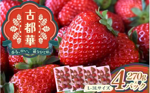 古都華 L〜3Lサイズ 270g×4パック / 西田農園 ブランド いちご 苺 ことか フルーツ 果物 奈良県 葛城市【nsdf004】奈良県葛城市32000果物・フルーツいちご