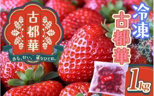 古都華 冷凍いちご 1kg / 西田農園 ブランド いちご 苺 ことか フルーツ 果物 奈良県 葛城市【nsdf005】奈良県葛城市10000果物・フルーツいちご