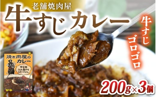 (冷凍)味園特選牛すじカレー200g×3個 国産黒毛和牛 高級ギフト/焼肉ホルモン味園 カレー 奈良県 葛城市【ajen002】奈良県葛城市13000鍋セット・総菜・加工食品総菜