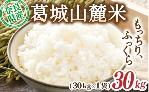 s\ R[ qmqJiājv30kg [ 30kg×1 ] ߘa7NY y2025N10{`z^ X}C_  ͂    ӂ _ƒ ޗǌ sysmlk0