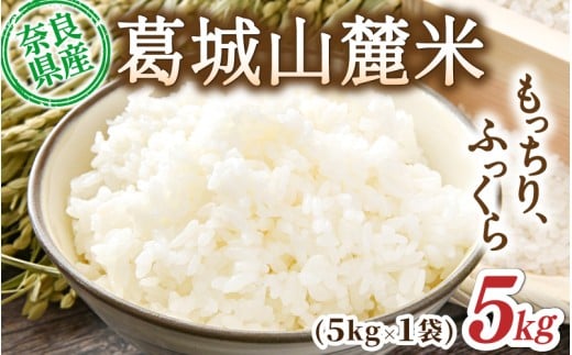 s\ R[ qmqJiājv5kg [ 5kg×1 ] ߘa7NY y2025N10{`z^ X}C_  ͂    ӂ _ƒ ޗǌ sysmlk012