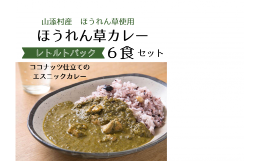 山添村の“ほうれん草カレー”6食セット奈良県山添村13000鍋セット・総菜・加工食品総菜
