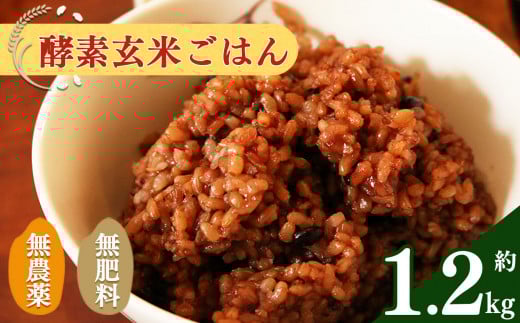 酵素玄米 ごはん ( 長岡式 )  約 1.2kg  |  米 こめ コメ 玄米 ごはん げんまい ゲンマ イ 酵素玄米  発酵 美容 健康 酵素 主食 パウチ 冷凍 ヘルシー 米  エミニニ オーガニック ファーム 無農薬