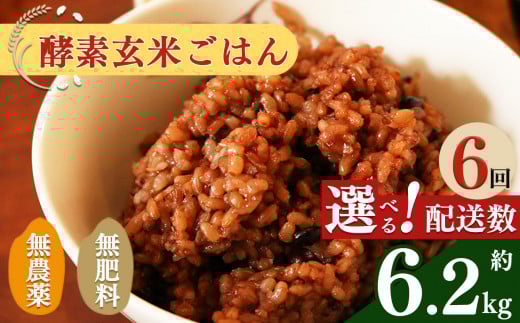 【 定期便 6回 】酵素玄米 ごはん ( 長岡式 ) 約 6.2kg | | 米 こめ コメ 玄米 ごはん げんまい ゲンマ イ 酵素玄米 発酵 美容 健康 酵素 主食 パウチ 冷凍 ヘルシー 米 エミニニ オーガニック ファ