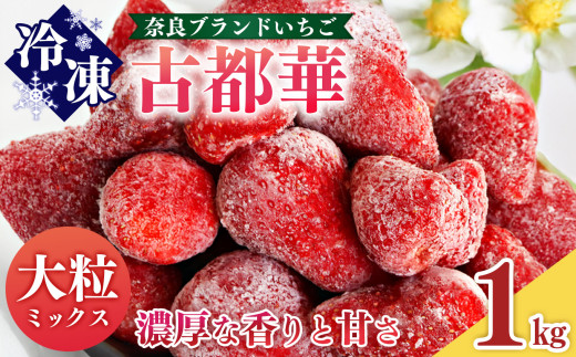 Q̌Ós Ⓚ ~bNXTCY 1kg | t[c ʕ    C`S Ós Ƃ Ⓚ  ACX  ޗ ~bNX X[W[  ޗǌ Q c_ޗǌQ800