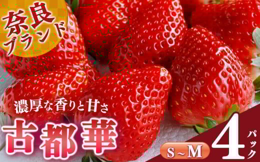 【 選べる内容量 】 平群 の 古都華 S 〜 Mサイズ (2パック×2ケース)計4パック 阪野農園 | 先行予約 フルーツ 果物 くだもの ブランド いちご 苺 古都華 ことか 甘い 大人気 満足 希少 希少品
