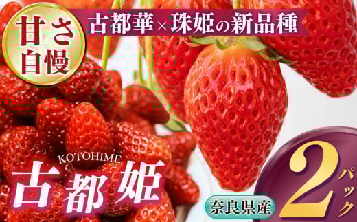 幻 の 高級 いちご『 古都姫 ( ことひめ )』 奈良県産 いちご 2パック 阪野農園 | 先行予約 フルーツ 果物 くだもの ブランド いちご 苺 甘い  満足 新品種 ストロベリー 美味しい 希少 レア