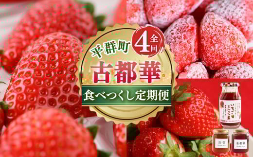 【 定期便 4回 】 濃紅 の 宝石 へぐり の 古都華 食べつくし | ブランド 苺 ご褒美 ごほうび 高糖度 甘い イチゴ いちご ストロベリー 古都華 ことか ルビー色 果物 くだもの フルーツ フレッ