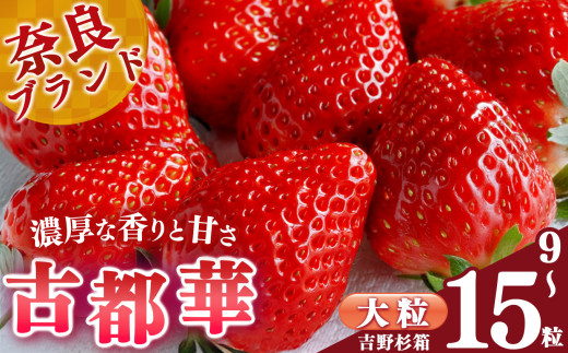 【 選べる 内容量 】贈答 平群 の 古都華 吉野杉 箱入り 大粒  9〜15粒 阪野農園 | 先行予約 フルーツ 果物 くだもの ブランド いちご 苺 古都華 ことか 甘い 大人気 満足 希少 希少品種 ストロ
