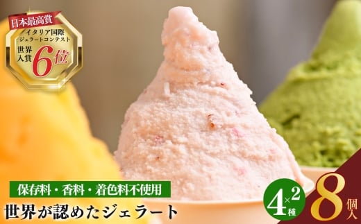 【 定期便 12回 】世界が認めた ! mamma カップ ジェラート 詰め合わせ 8個セット ( 4種 ×各 2 ) | お菓子 おやつ アイスクリーム アイス クリーム 冷凍 いちご ほうじ茶 雪塩 バニラ こだわり 素