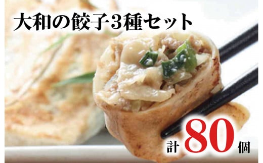 大和の餃子3種セット 計80個 20個入 4パック タレ付 冷凍 餃子 大きめ ぎょうざ ギョウザ ギョーザ 肉 鶏 おかず餃子 ごはんのお供 便利 日用 簡単調理 惣菜 1万円 10000円 冷凍餃子 大容量餃子