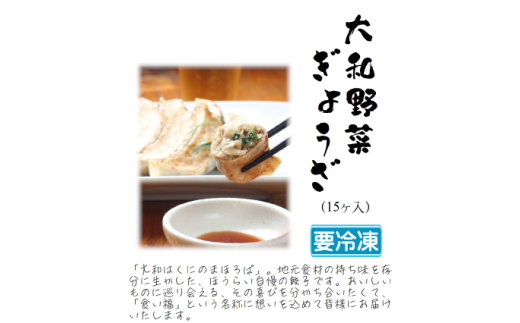 大和野菜餃子 30個 野菜 餃子 冷凍 簡単 豚肉 おかず 惣菜 ギフト プレゼント 贈答 お徳用奈良県河合町9000鍋セット・総菜・加工食品総菜
