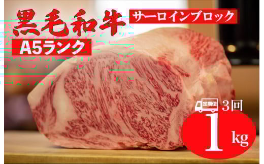 yS3ցzјa A5N T[C ubN 1kg Xe[Lp\[Xt T[C [낢 Xe[L ubN a T[C  Mtg ޗǌ͍111000