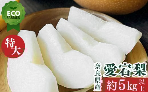 A2 【先行予約】 南陽園のあたご梨 高級一段箱(約5kg) 特大サイズ 【秀品】 | ≪数量限定≫ 梨園直送! 期間限定 果物 フルーツ 農家直送 シャキシャキ もぎたて 旬 お取り寄せ ※12月中旬