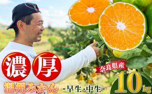 G10  žՂ藁тĈ B݂  10kg | t[c ʕ  ݂ ~J  B  刢 R Ö Â Ïk _sgp bNXsgp  