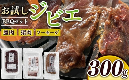 g BBQZbg EEECi[300g Zbgb Eē o[xL[ WrG ȒP ޗǌ kRޗǌkR10000WrG